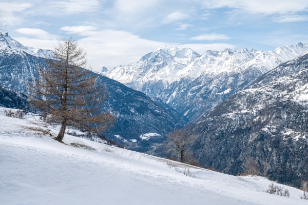 Au-dessus de la vallée de Viège