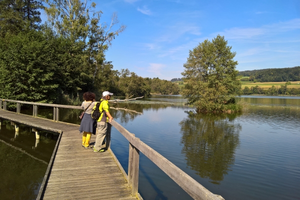 De l'Ittingen à Stammheim