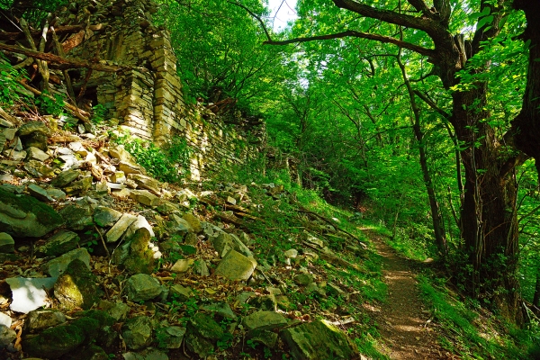 Frühlingsgefühle im Südtessin