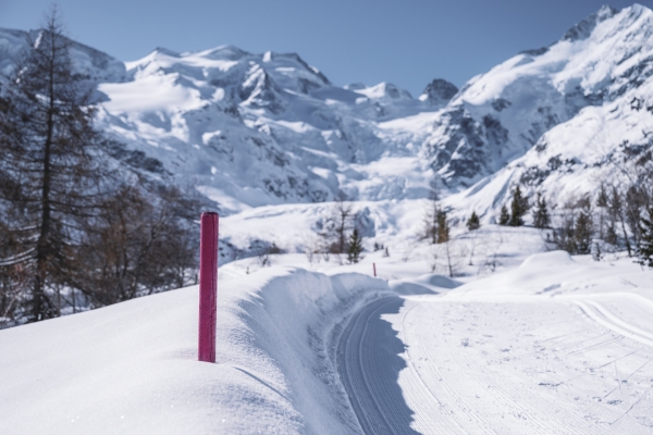 Le glacier de morteratsch: un lieu unique