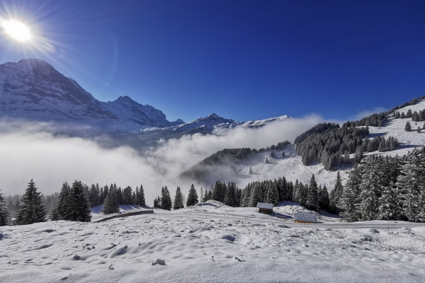 Le versant ensoleillé de Grindelwald