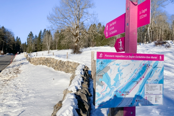 Über den Höhenrücken im Neuenburger Jura