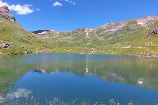 20. Ueber die Grosse Scheidegg