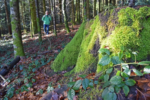 Les charmes de l’Entlebuch