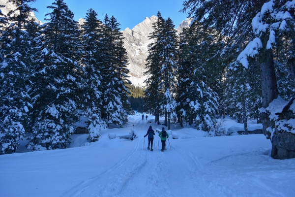 Auf die verschneite Alp Solalex