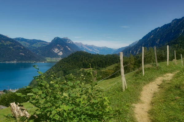 Randonnée picturale au bord du lac de Thoune