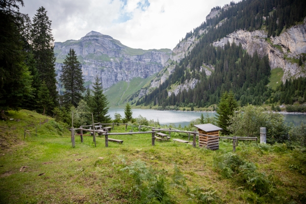 Rund um den Lag da Pigniu in der Surselva