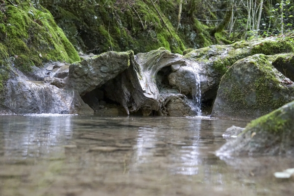 Über steile Stufen der Gorges de Perrefitte