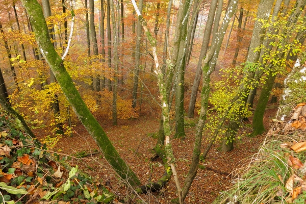 Auch ein Hügel ist ein Berg