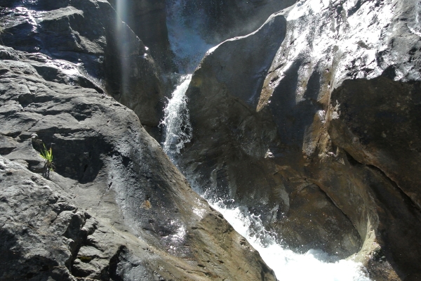 Feine Entdeckungen bei Diablerets