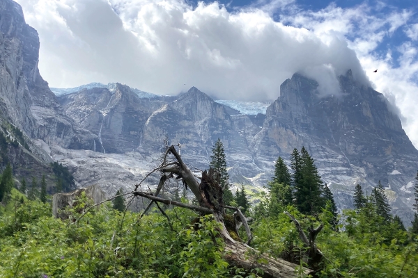 Wandertage Haslital