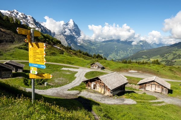 Von Alp zu Alp im Rychenbachtal