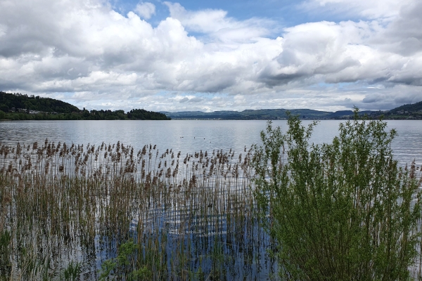 Le long du lac jusqu'à la Hohle Gasse