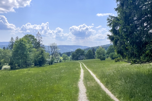 Vom Klosterdorf Bellelay auf den Montbautier