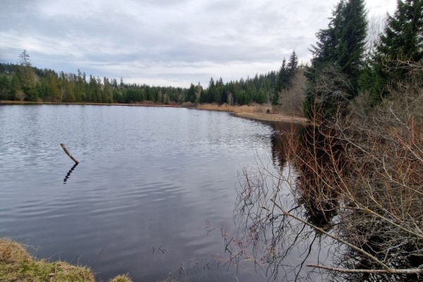 Zum mystischen Etang des Royes