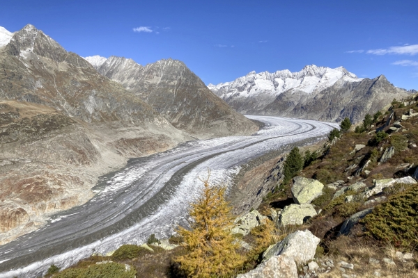 Hoch über dem Aletschgletscher