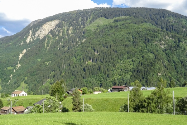 Windwurfflächen in der Surselva