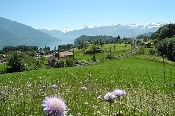 Dem See entlang von Gwatt nach Spiez