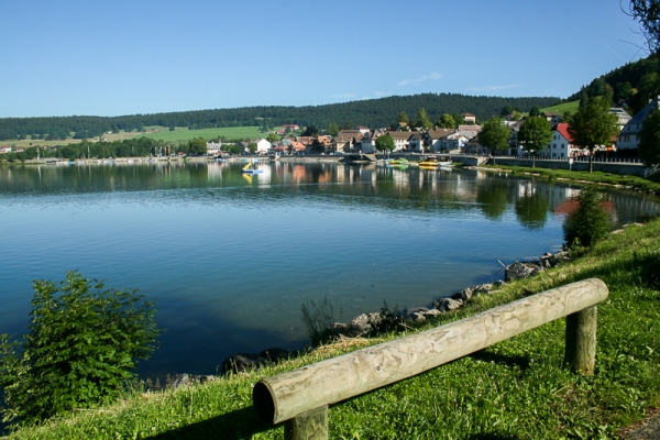 Des rives du Lac de Joux... 