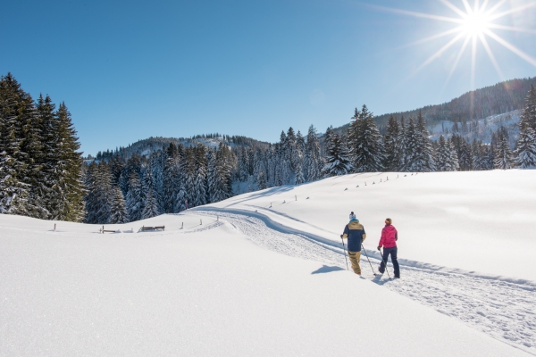 Ein Hauch von Arktis im Toggenburg