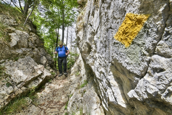 Geologie rund um den Hirnichopf