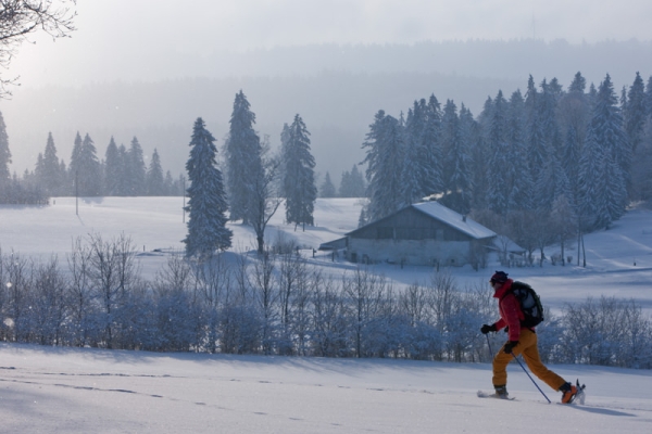 Auf dem jurassischen Hochplateau