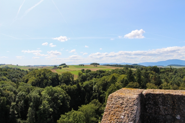 Von Yvonand durch das Vallon des Vaux