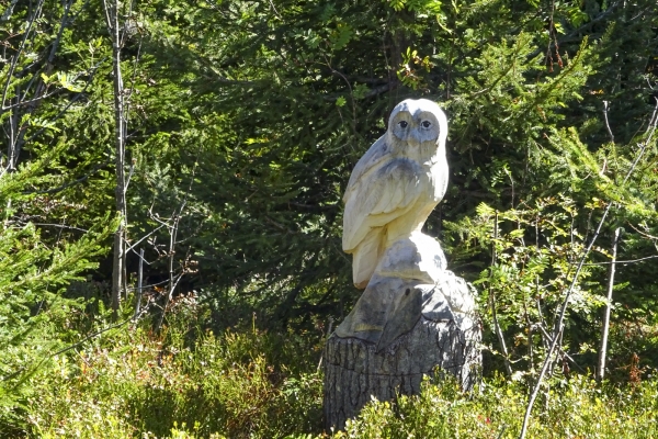 Abwechslungsreicher Höhenweg im Gantrischgebiet