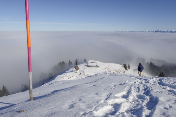 Appenzeller Panorama vom Kronberg