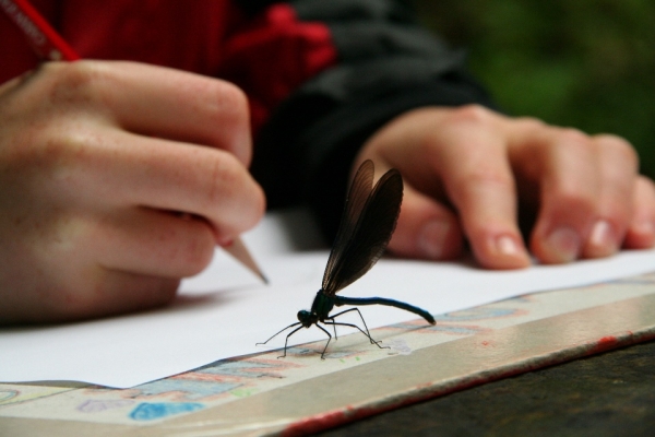 Aktivitäten für Schulklassen in der Natur