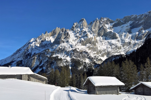 Auf weissen Wegen zur Schwarzwaldalp BE