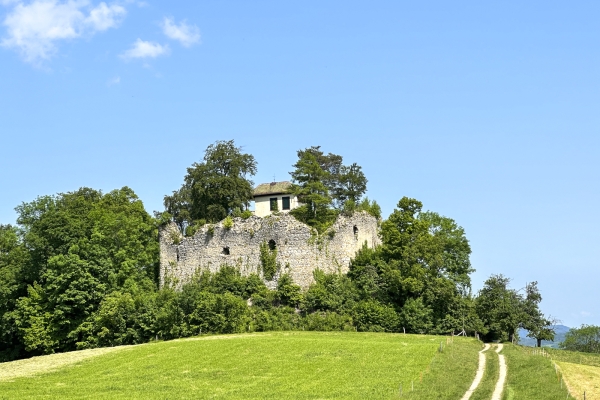 Di castello in castello alle porte di Basilea