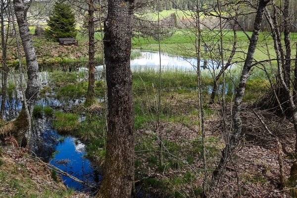 Abstecher ins Torfmoor