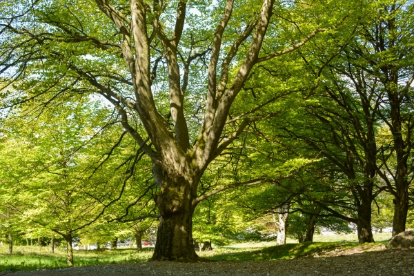 Das Fürstentum im Frühling entdecken