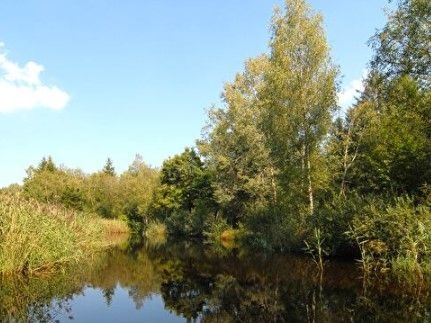 Durchs Hudelmoos nach Bischofszell