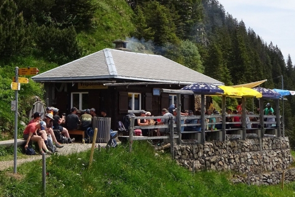 Über den Polenweg und die Stäfelifluh zur Tripolihütte