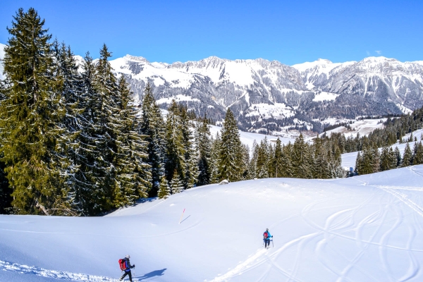 Das Stockhorn im Blick BE