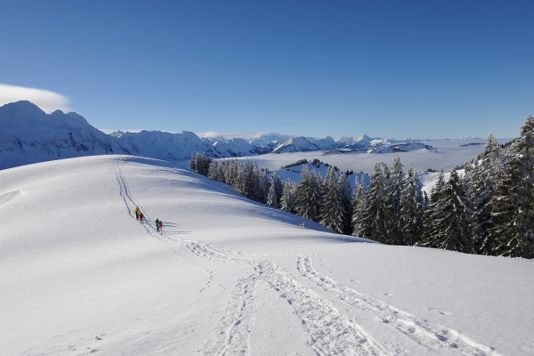 Hügeltour im Appenzellerland