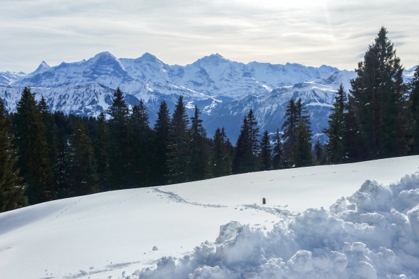 Piste du Chüematte sur le Niederhorn