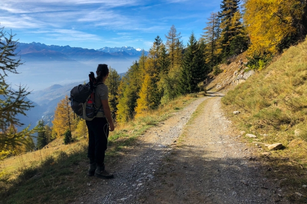 Suonenwanderung im Unterwallis