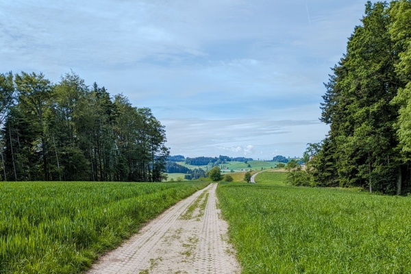 Gemütliche Wanderung am Rande des Emmentals