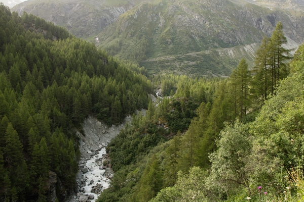 Eintauchen in die Bergwelt oberhalb von Zinal