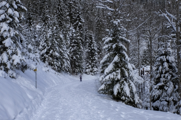 Beatenberg et les Alpes bernoises enneigées