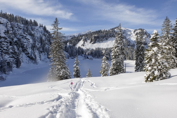 Waadtländer Bergwinter