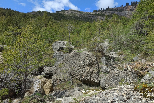 Auf und ab im Goldauer Bergsturz