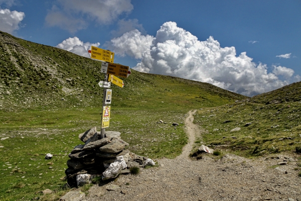 Unterwegs in der wilden Natur des Oberwallis