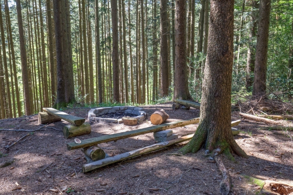 Vom Appenzeller Vorderland ins Rheintal