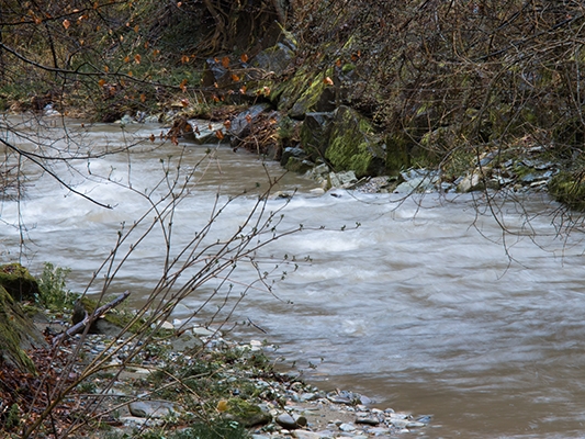 Le selvagge gole del Gottéron