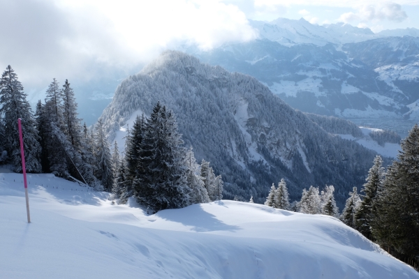 Randonnée en raquettes au Rigi Scheidegg