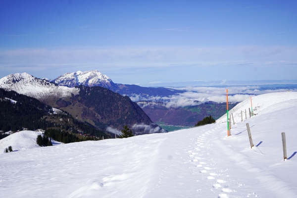 Leichte Schneeschuhwanderung auf dem Niederbauen